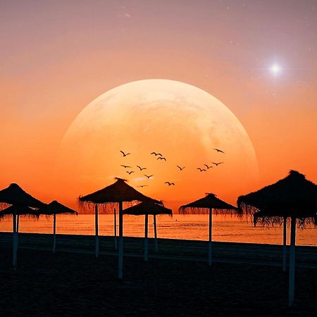 Ubicacion Y Confort En El Centro De Marbella - Ricardo Soriano 33 38 Dış mekan fotoğraf